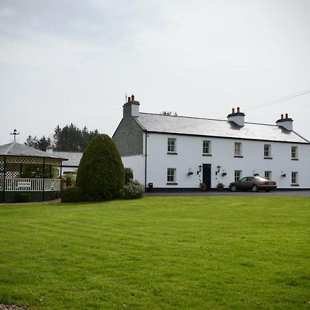 Cartron House Bed and Breakfast Ballinakill  Buitenkant foto