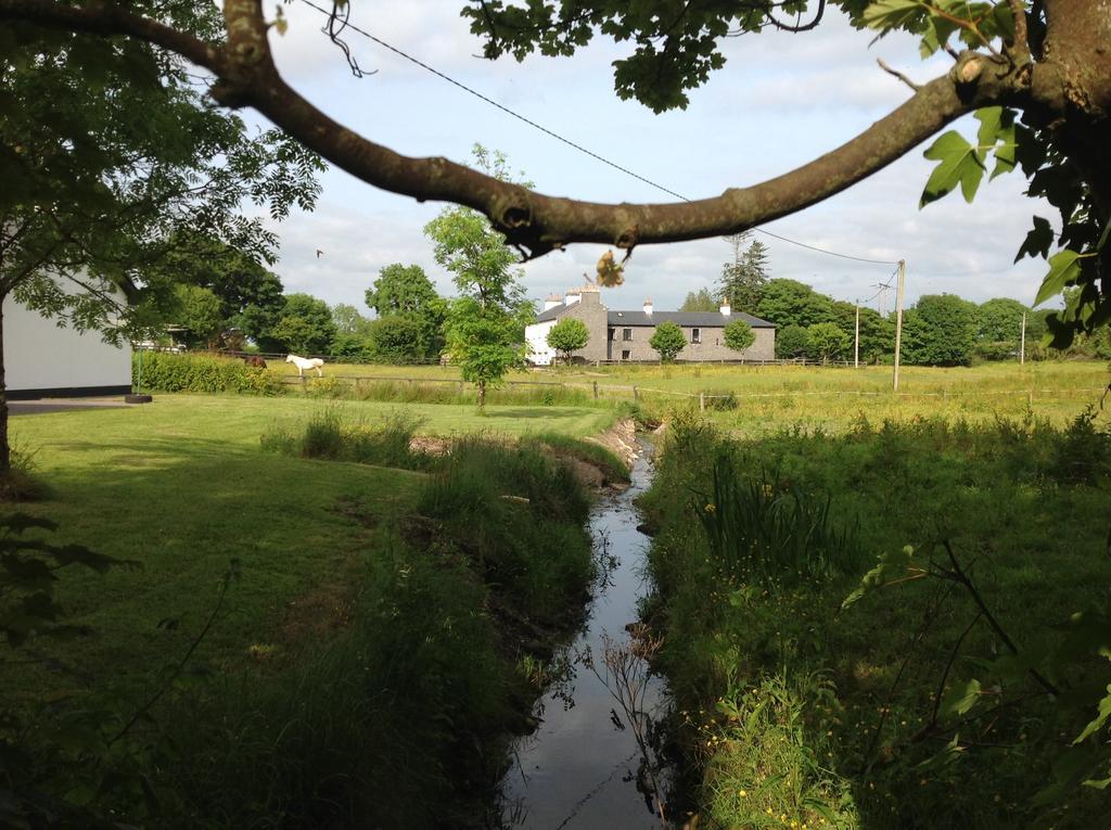 Cartron House Bed and Breakfast Ballinakill  Buitenkant foto