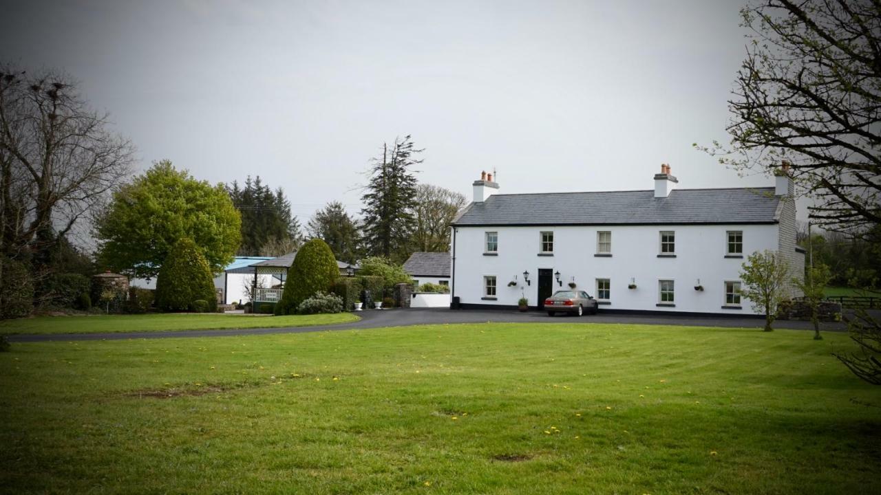 Cartron House Bed and Breakfast Ballinakill  Buitenkant foto