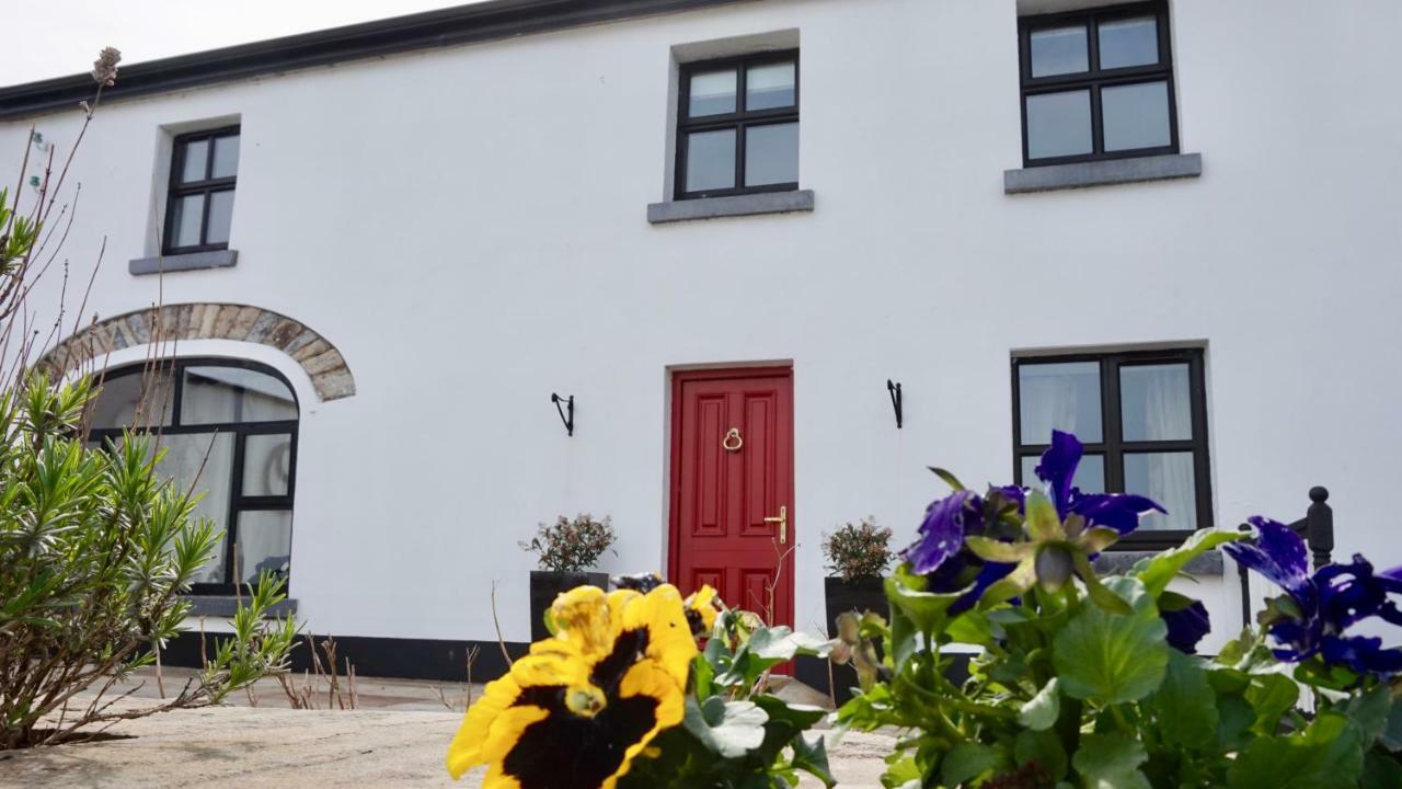Cartron House Bed and Breakfast Ballinakill  Buitenkant foto