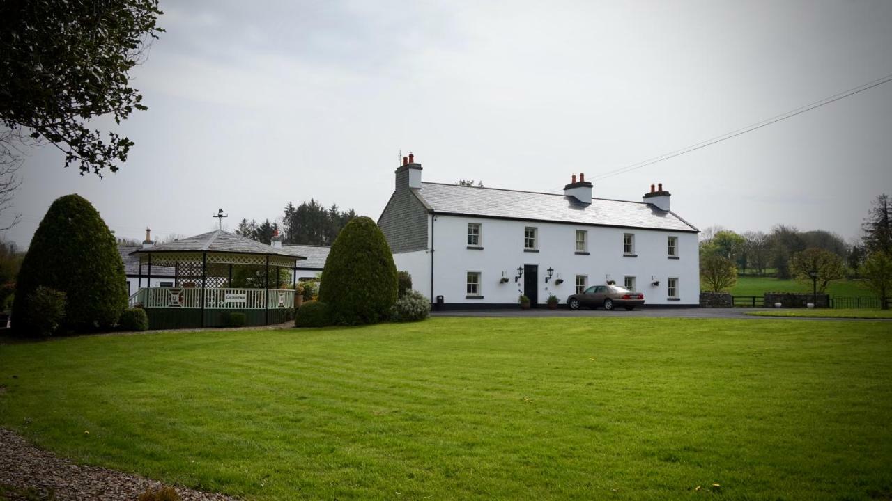 Cartron House Bed and Breakfast Ballinakill  Buitenkant foto