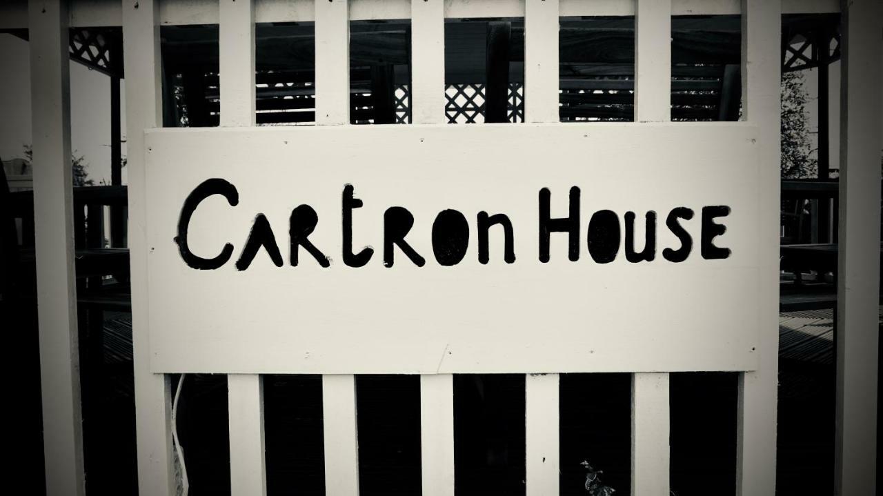 Cartron House Bed and Breakfast Ballinakill  Buitenkant foto